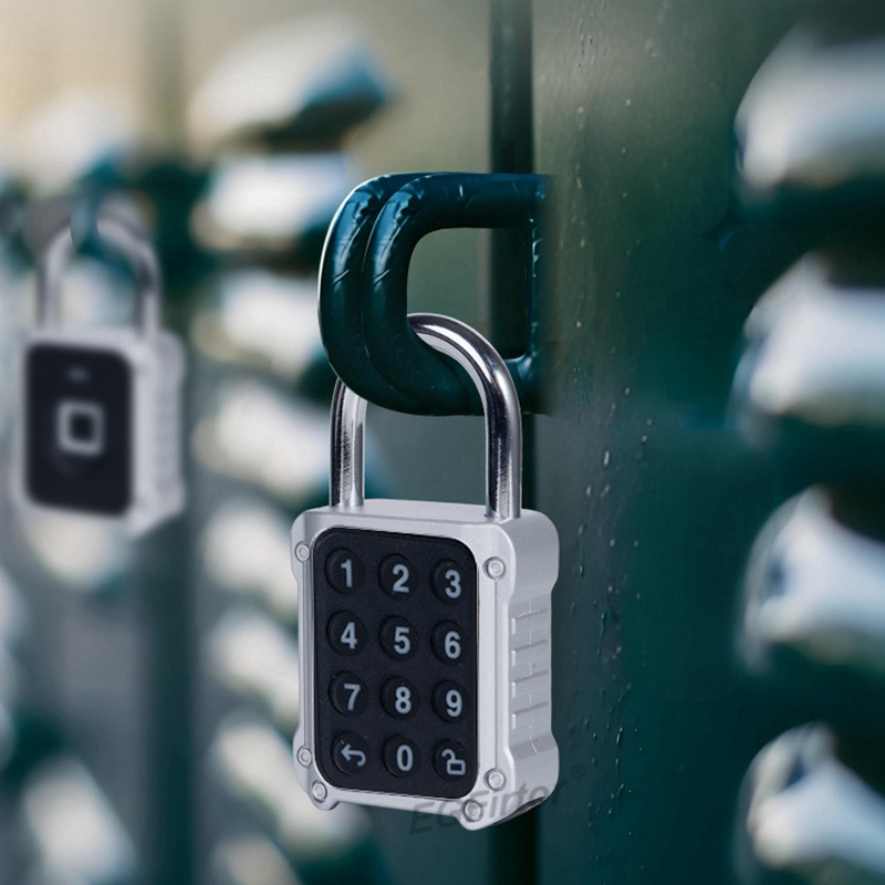 Tuya Bluetooth APP Afstandsbed - Lockbox Key Secure recensie en prijs