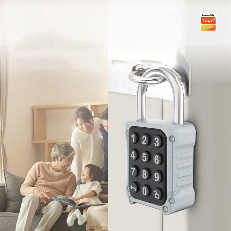 Tuya Bluetooth APP Afstandsbed - Lockbox Key Secure recensie en prijs
