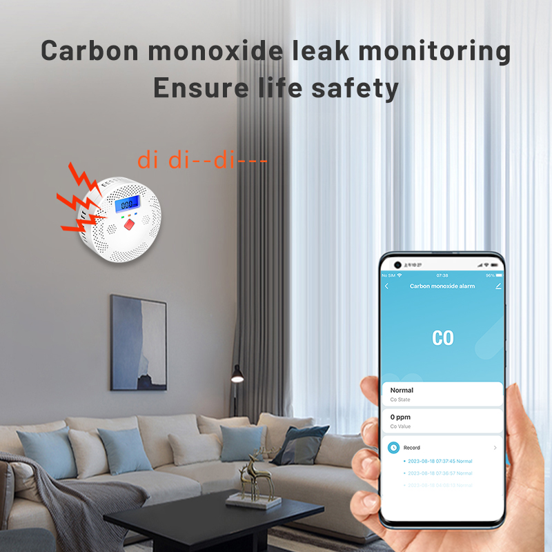 Tuya Wifi Slimme Koolmonoxide  - Co Detector Plug recensie en prijs